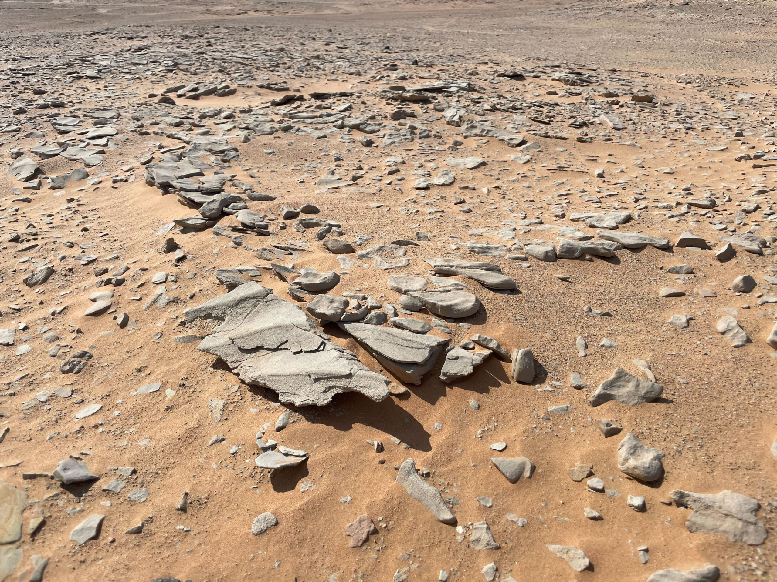 Maan menneisyyden uudelleenkirjoittaminen: AI paljastaa hiekkaan haudattuja salaisuuksia miljoonien vuosien ajan