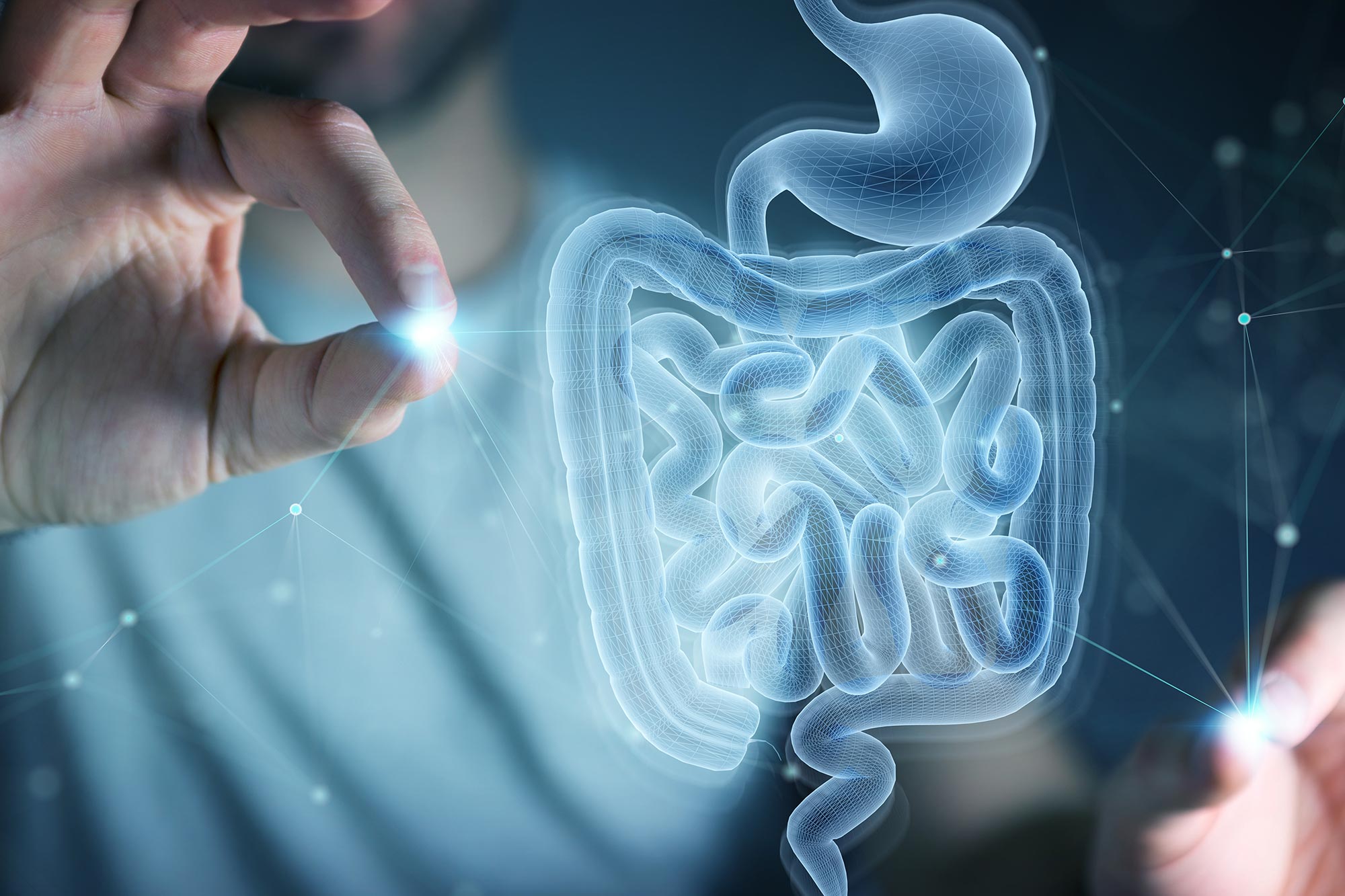 Tutkijat kumoavat suolen ikääntymisen tärkeimmät merkit yllättävällä biologisella siirtymällä