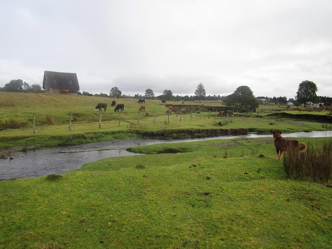 Käsitimmekö sen väärin? Uusien amerikkalaisten tutkimushaasteiden aikajana