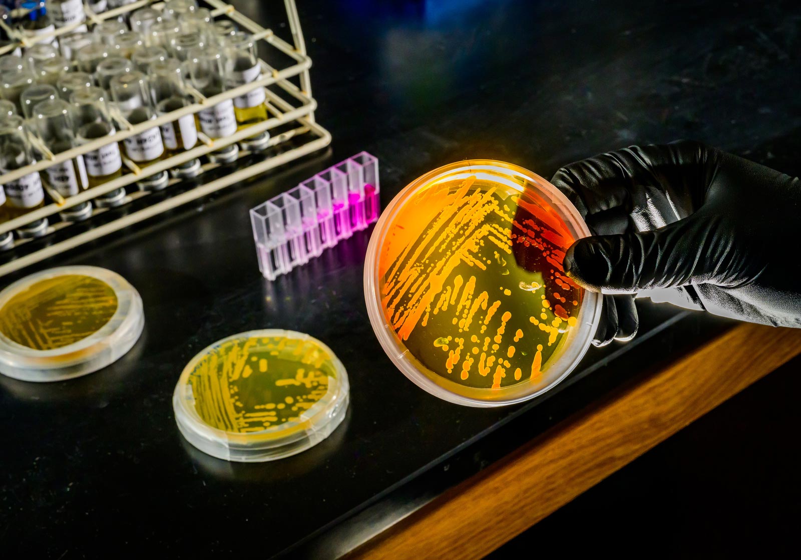 Syvänmeren mikrobit saattavat jo sopeutua ilmastonmuutokseen