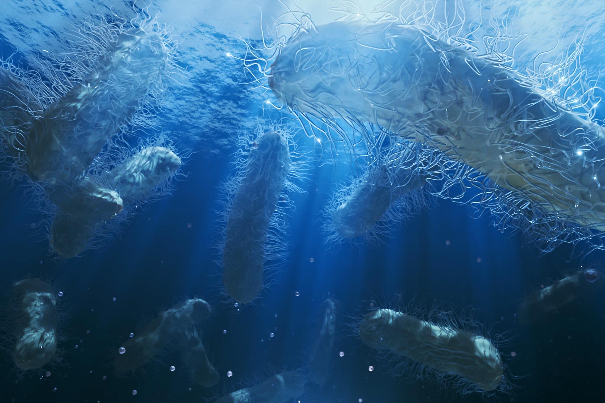 Valtameren äärimmäinen paine ruokkii syvänmeren elämää tavalla, jota tutkijat eivät koskaan odottaneet